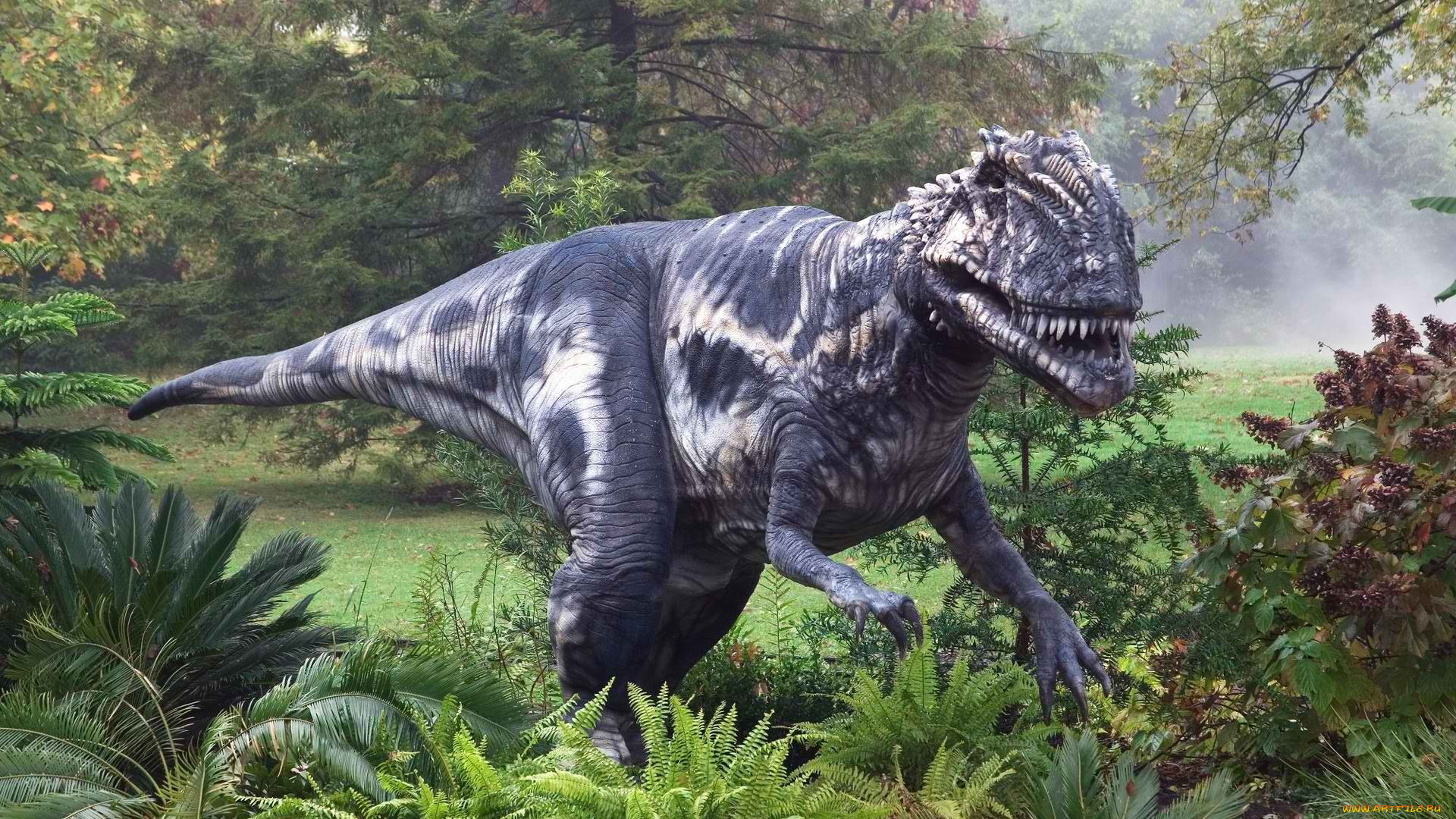 tyrannosaurus, rex, , , , , , , , 